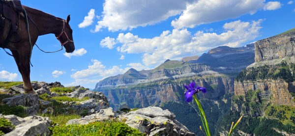 PARC NATIONAL ORDESA