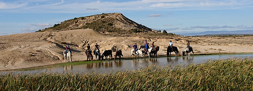 Bardenas Reales 1